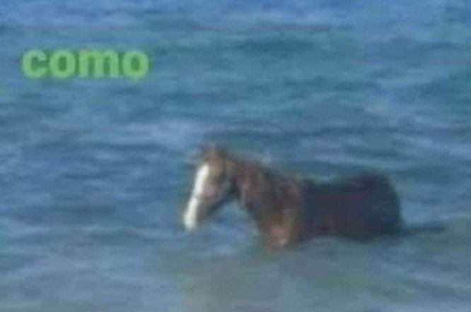 *Me explican 12576 veces como transbordar* 
Yo: