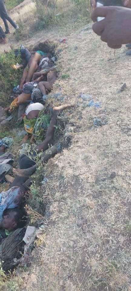 IamFirstOromo1's tweet photo. #StopOromooKilling
#StopOromoGenocide
#AbiyAhmedMustGo
#knowMoreAbout https://t.co/nr7XBCmO7Y