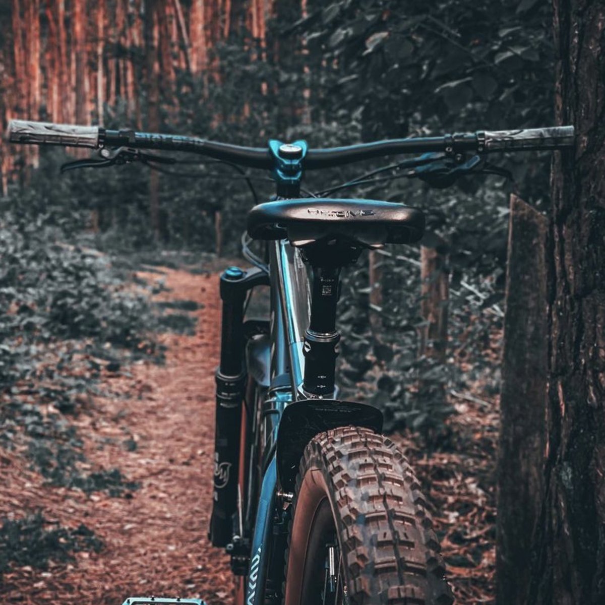 Have you experienced the beauty of the active system yet? Each active saddle comes with three elastomers in three degrees of hardness so you can find your perfect level of responsiveness.

📸: @mauraxe

#sqlab #ergonomics #ergonomicsolutions #activetechnology #ridepainfree