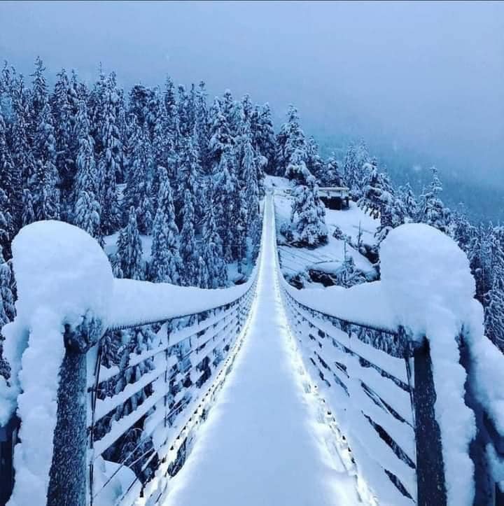 Livshits (@aliwshits) on Twitter photo 