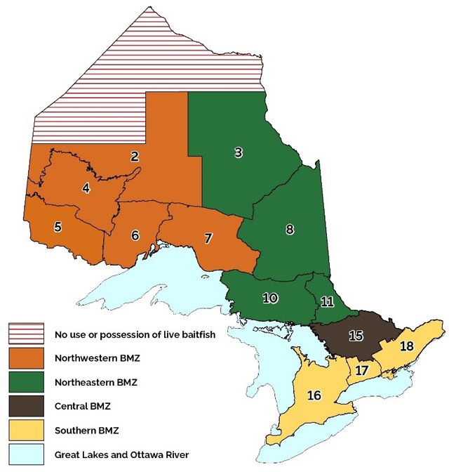 FishWildlifeON's tweet photo. To protect our lakes and rivers from invasive species and fish diseases, Ontario is establishing four Bait Management Zones (BMZs) starting Jan 1, 2022.

Baitfish or leeches, whether live or dead, must not be transported into or out of a BMZ.

Visit: https://t.co/0Xa90I6YGM https://t.co/GK1YUjsEzb