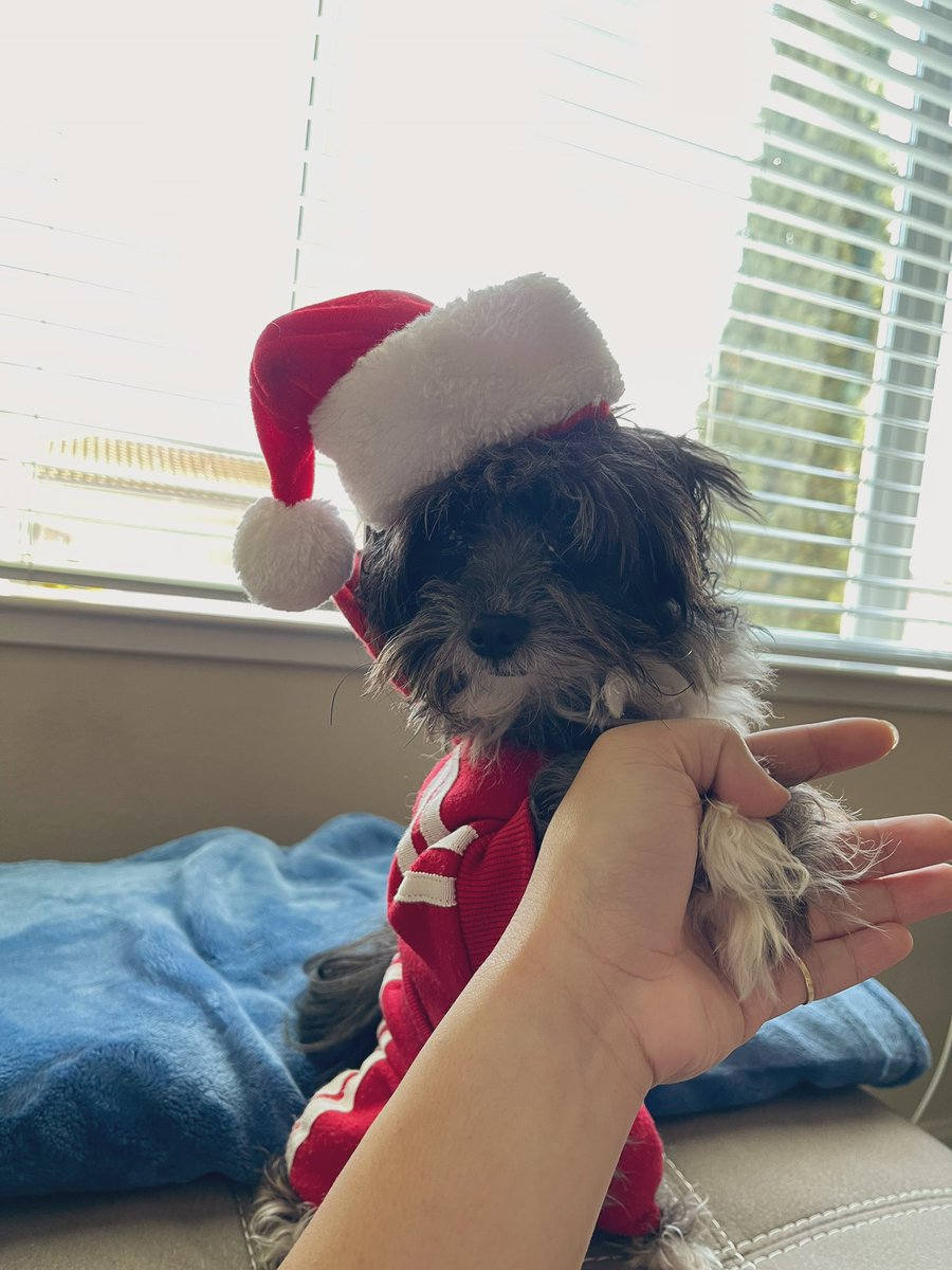 joesephbrianfv's tweet photo. &amp; ofc my dog https://t.co/4VxCxdU8vm