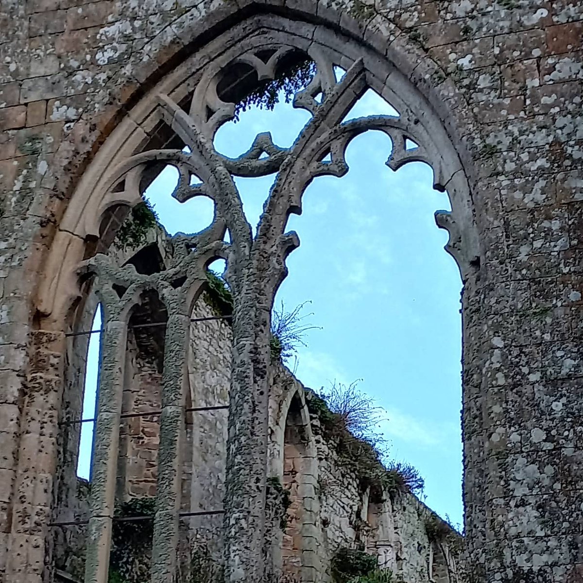 fredleroux44's tweet photo. L'abbaye de Beauport #Kerity #Paimpol #Pempoull #Goelo #CotesdArmor #IrresistiblesCotesdArmor #Bretagne #MagnifiqueBretagne #MagnifiqueFrance #BaladeSympa https://t.co/jByvELousJ