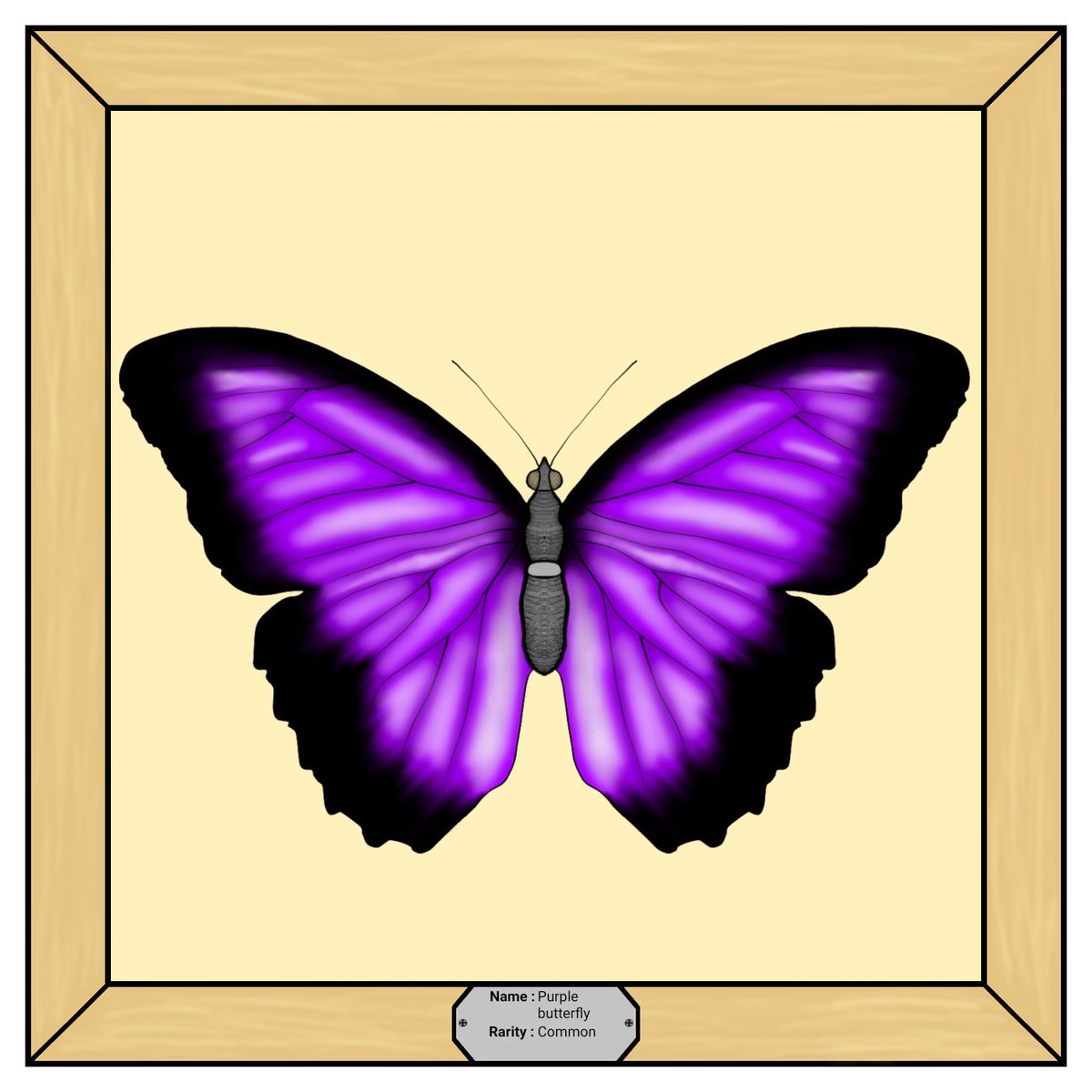 Butterfly__NFT's tweet photo. Common - purple butterfly #NFTs #NFT #nftart #NFTCommunity #nftcollector https://t.co/7CnCCs0v8j