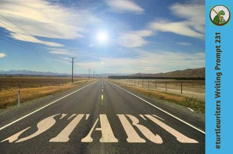 RosettaYorke's tweet image. 🐢🐢🙂Show what you can do #turtlewriters! Use this writing prompt image to inspire you, or reply with a few lines from your WIP if you prefer!

Or a drawing...or anything creative that you've been doing recently.

Stay safe &amp;amp; well, my friends.  🙂 🐢 ❤️🍀 
@HillBillyHorror