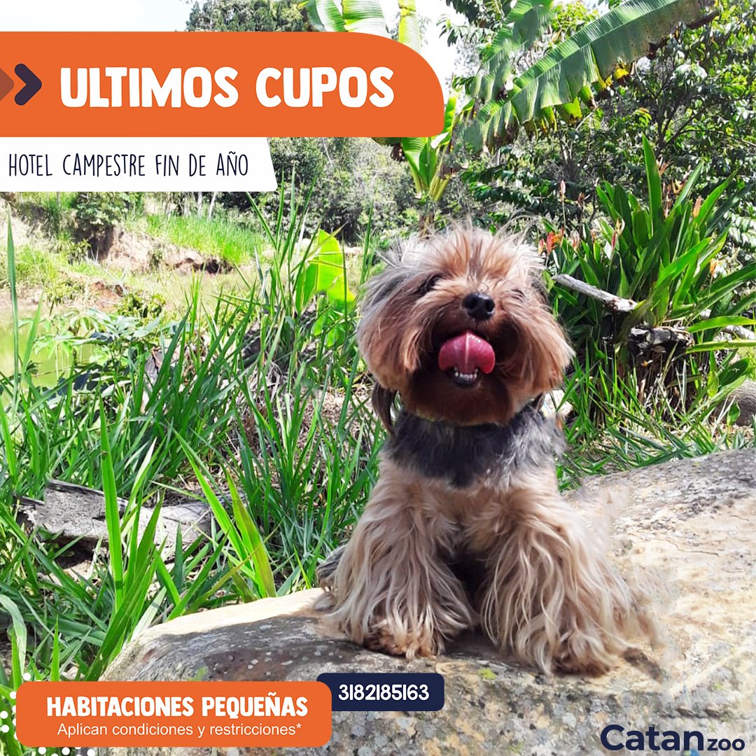 catanzoo's tweet photo. 🔴ULTIMOS CUPOS 

Solo para habitaciones pequeñas, recuerda que tu peludo debe tener vigente su #plansanitario completo y al día. Regálale a tu peludo unos días de diversión.

Contáctanos: 3182185163 - 6960387

Hacemos lo mejor que sabemos, cuidar de tu mascota. 🐾

#ultimoscupos https://t.co/2hquJkpxgu