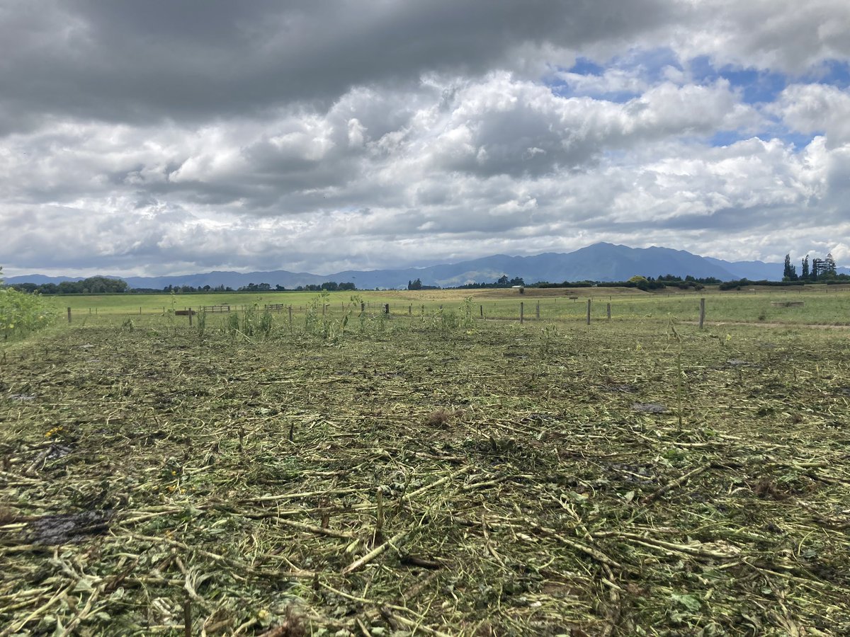 Top 50% farmer tweet media