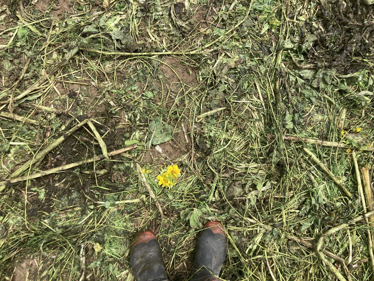 Top 50% farmer tweet media