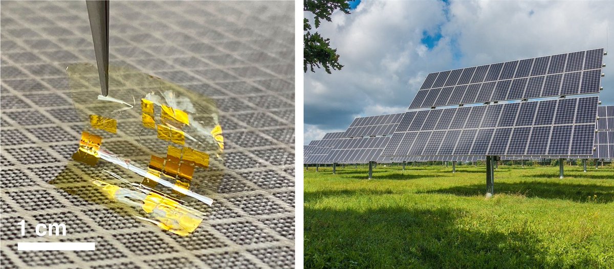 E14Community's tweet photo. Stanford University researchers developed new transition metal dichalcogenides (TMDs) that achieve 5.1% power conversion efficiencies, which could reach 27% after optical and electrical optimizations. #solarpower #solartechnologies https://t.co/cKVL4FwZUb https://t.co/rk6Xjnr62S