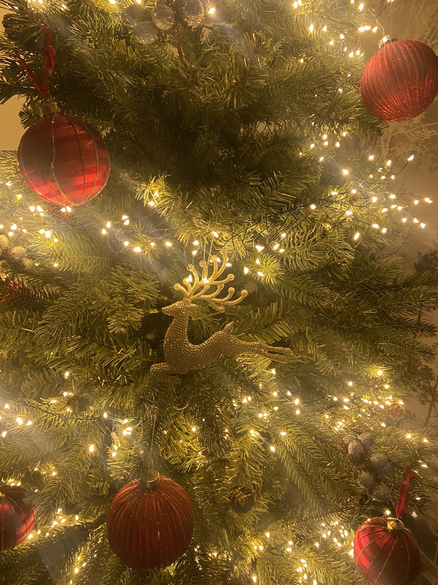 2Dellmhor's tweet photo. Christmas at #2Dellmhor is over for another year but I hope our New Year guests enjoy their stay again 🔔🍾🎊 https://t.co/35kt1sdfho