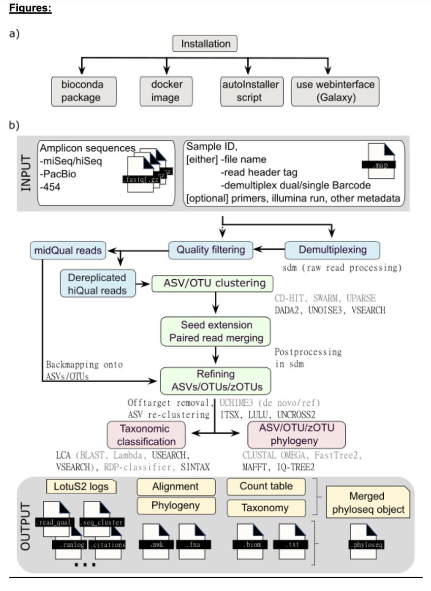 LotuS2: An ultrafast and highly accurate tool for amplicon sequencing analysis biorxiv.org/content/10.110… github.com/hildebra/lotus2