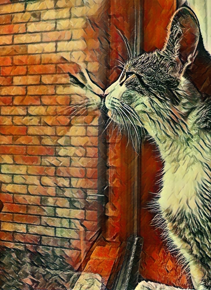 SolanaPets's tweet photo. Happy Monday! 
Check out #SolanaPets on #Solsea. 
Floor price starts at 0.5 Solana. 
Collection: https://t.co/5K9qqBRlXn
Here's todays featured #RareNFT. https://t.co/hjPr6iokPE