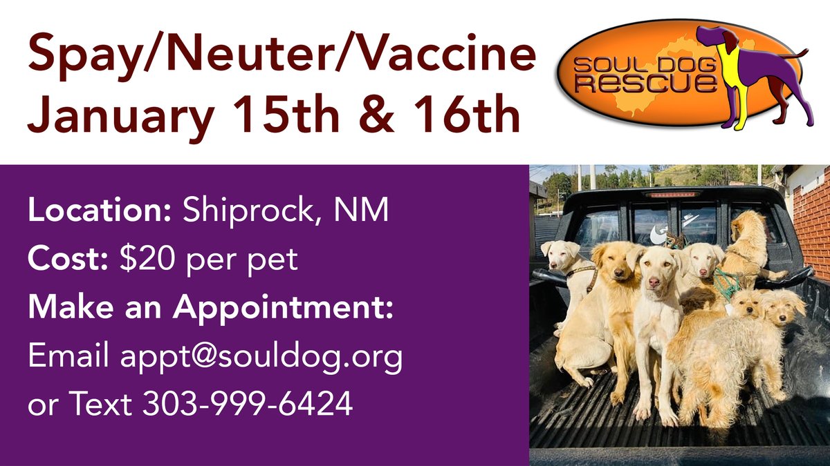 Soul Dog Rescue (@SoulDogRescue) / Twitter Soul Dog Rescue (@SoulDogRescue) / Twitter