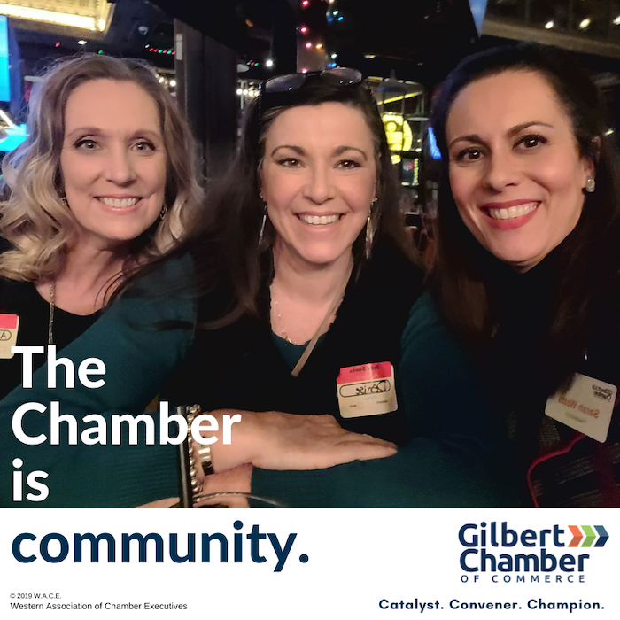 GilbertChamber's tweet photo. We are devoted to making our community a great place to live, work and raise families. Everything we are and everything we do is in the service of a stronger community.

Unite for the greater good at https://t.co/BlNX0grULt.

#TheChamberIs #LoveLocalGilbert https://t.co/4tghUTRTz7