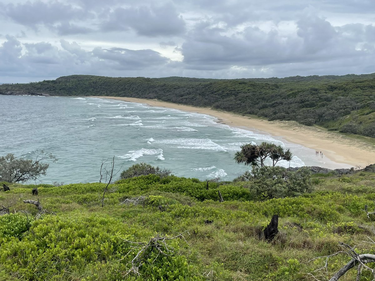 doclarkins's tweet image. One of the iconic training locations for Australia’s elite runners- &amp;amp; some ex broken down ones!- #exerciseismedicine #movetolive  #mentalhealthmatters #liveto100