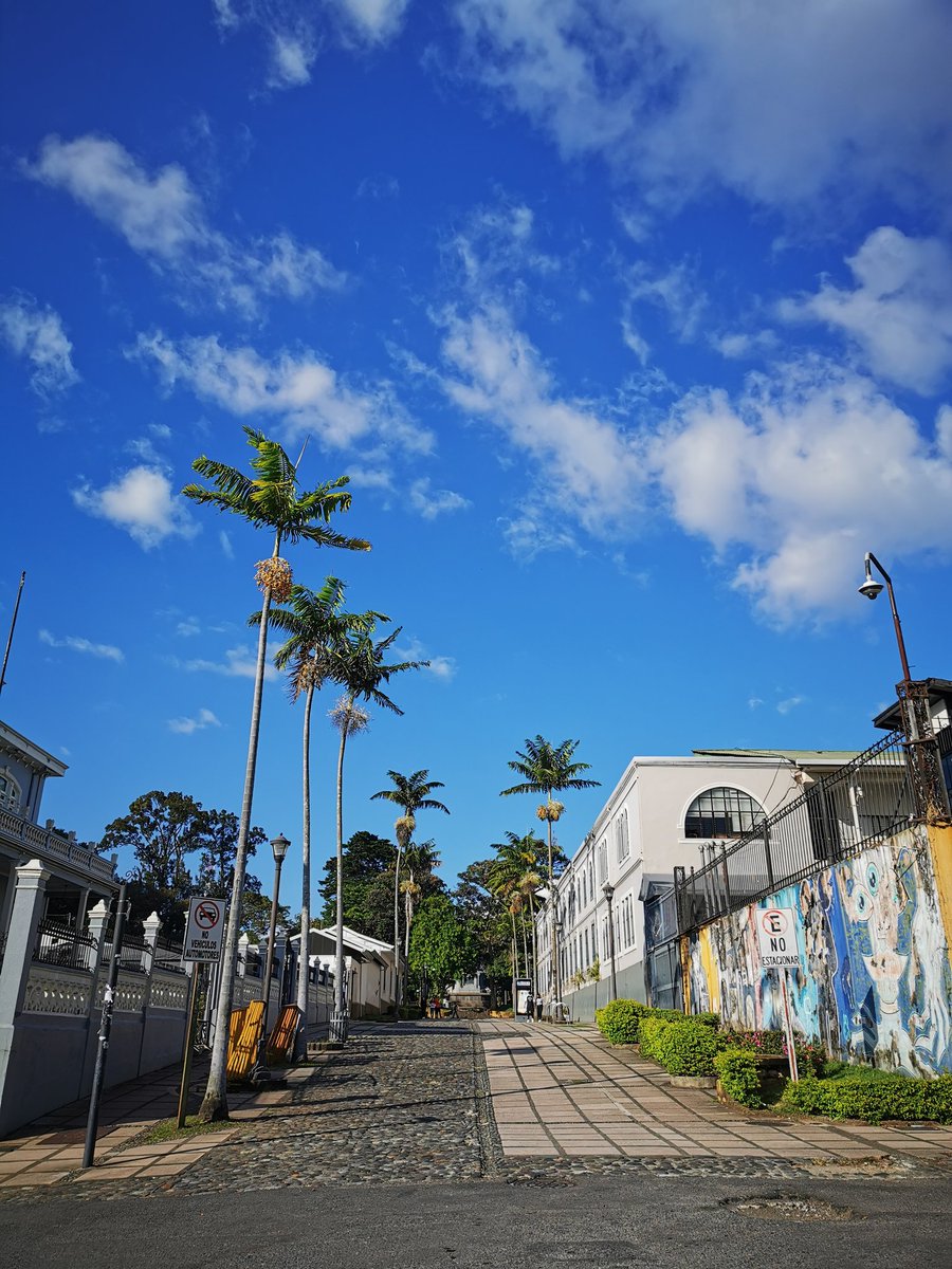 ChepeCletas tweet media