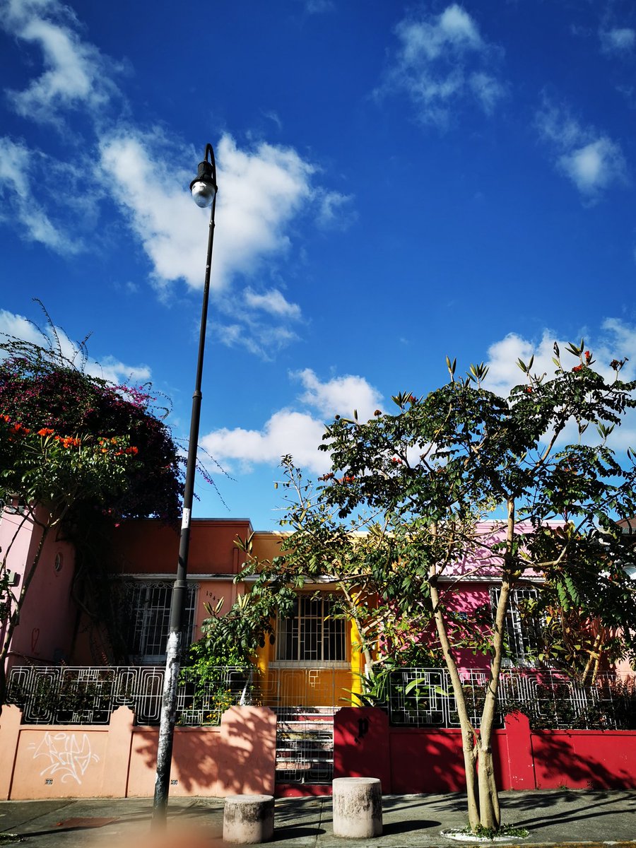 ChepeCletas tweet media