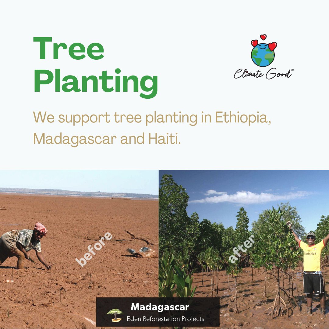 climate_good's tweet photo. The 3 climate positive projects supported by Climate Good.
Learn more: https://t.co/0GJD9w1gzw
#treeplanting #climateaction #climatepositive #carbonfootprint #climatetechnology #renewables #ClimateGood https://t.co/pUQ6j0nDAr