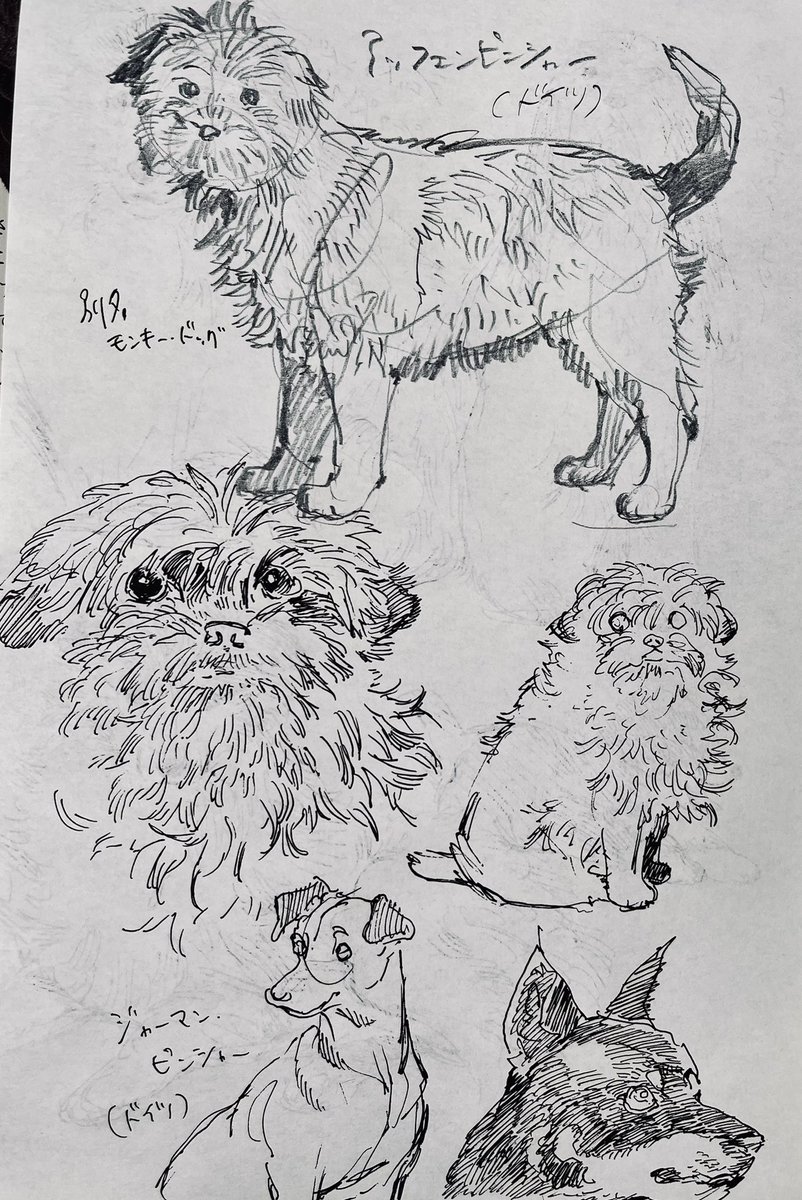 犬練 