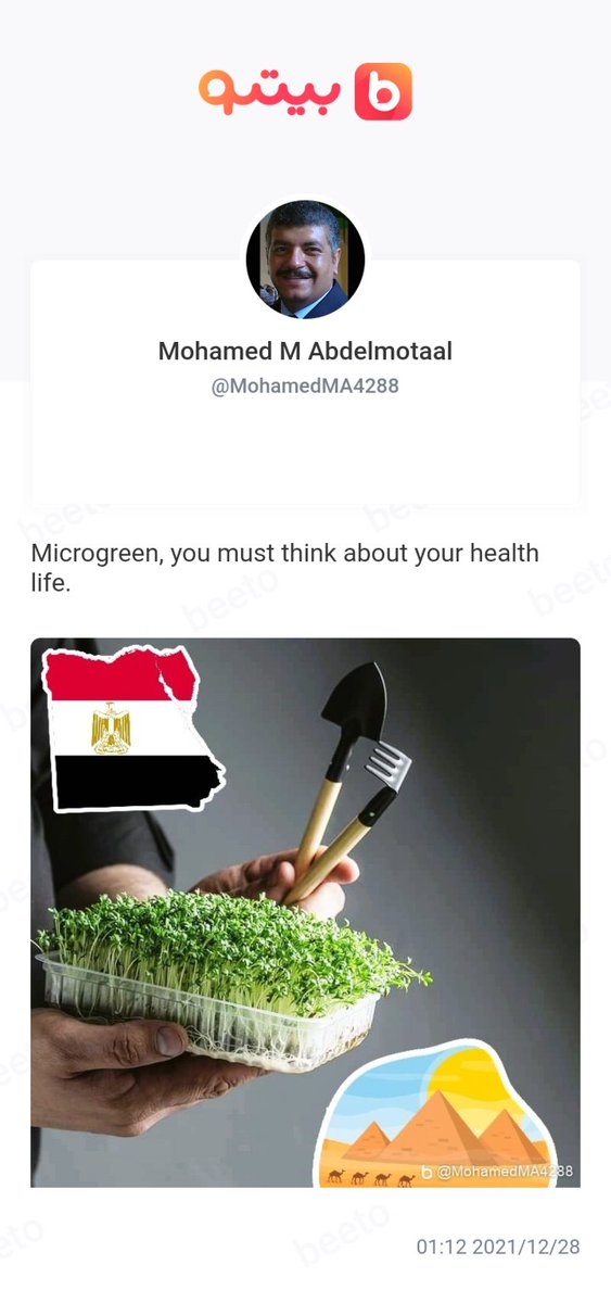 CTahahwihi's tweet photo. #Microgreen https://t.co/4B9AeLyugf