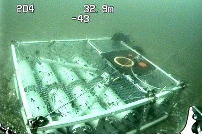 🚨Fully-funded #PhD at <a href="/ERI_UHI/">eri</a> investigating impacts of floating #OffshoreWind on the distribution and behaviour of #Fish🐟&amp; #MarineMammals🐬with Benjamin Williamson @BEScott_abdn @StevenBenjamins part of <a href="/SUPERDTP1/">SUPER Doctoral Training Partnership</a> eri.ac.uk/funded-phd-imp…