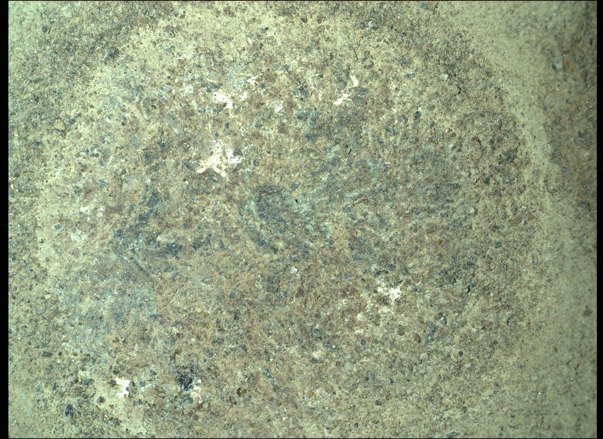 fredHeller1's tweet photo. Sol 303 Watson images both core hole and abrasion patch
#issole #samplingmars https://t.co/l0G3A0x2Ew