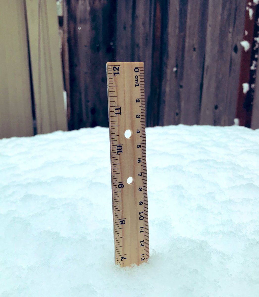 smbrander's tweet photo. Important development here in Snovallis … our sno-woman now has an emotional support “sno-cat” to keep her company.

#winterbreak #oregonsnow https://t.co/YexS0nwq78