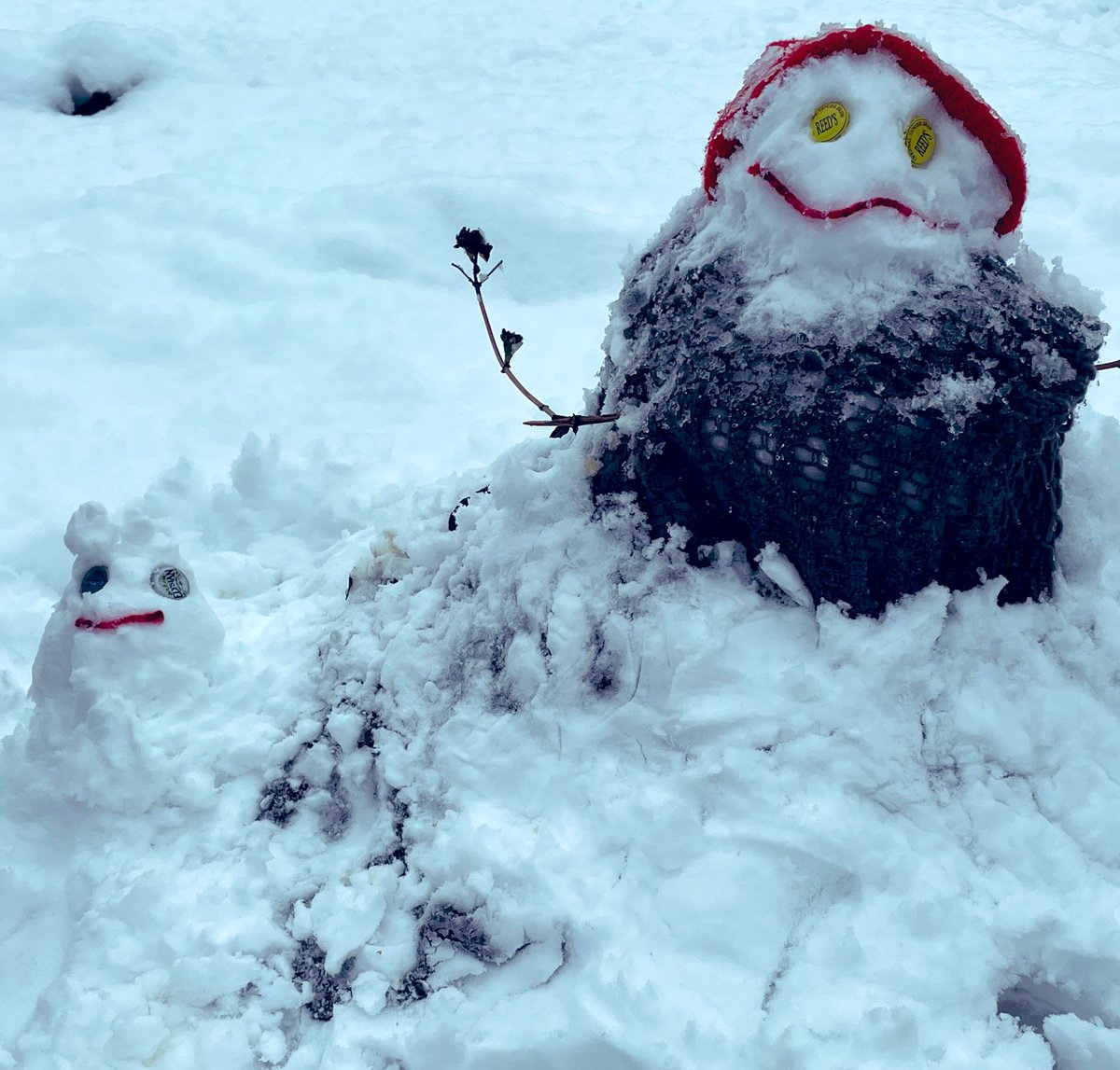 smbrander's tweet photo. Important development here in Snovallis … our sno-woman now has an emotional support “sno-cat” to keep her company.

#winterbreak #oregonsnow https://t.co/YexS0nwq78