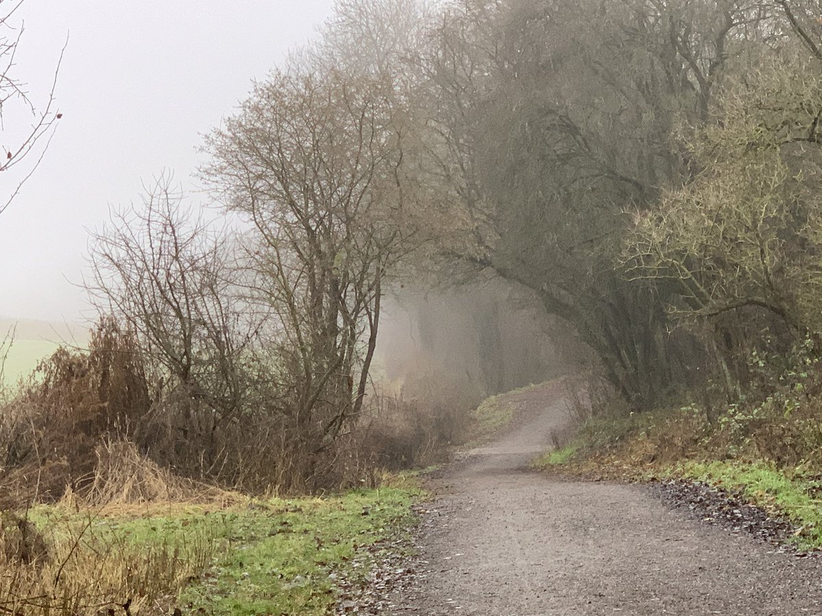 DelepChimney's tweet photo. Another #misty day #dogwalk along the #Rowthorne Trail #WeatherUpdate https://t.co/yZvAjb9hm9