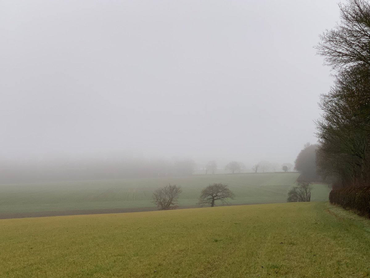 DelepChimney's tweet photo. Another #misty day #dogwalk along the #Rowthorne Trail #WeatherUpdate https://t.co/yZvAjb9hm9