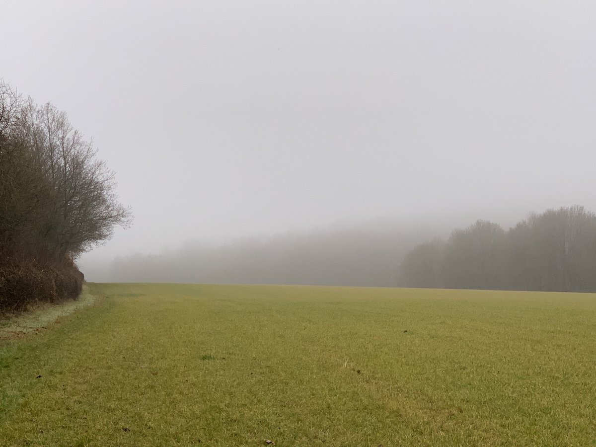 DelepChimney's tweet photo. Another #misty day #dogwalk along the #Rowthorne Trail #WeatherUpdate https://t.co/yZvAjb9hm9