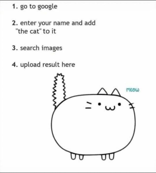 Found this and thought it was a great idea to see cats, so feel free to post yours below 🥰 here is mine 
