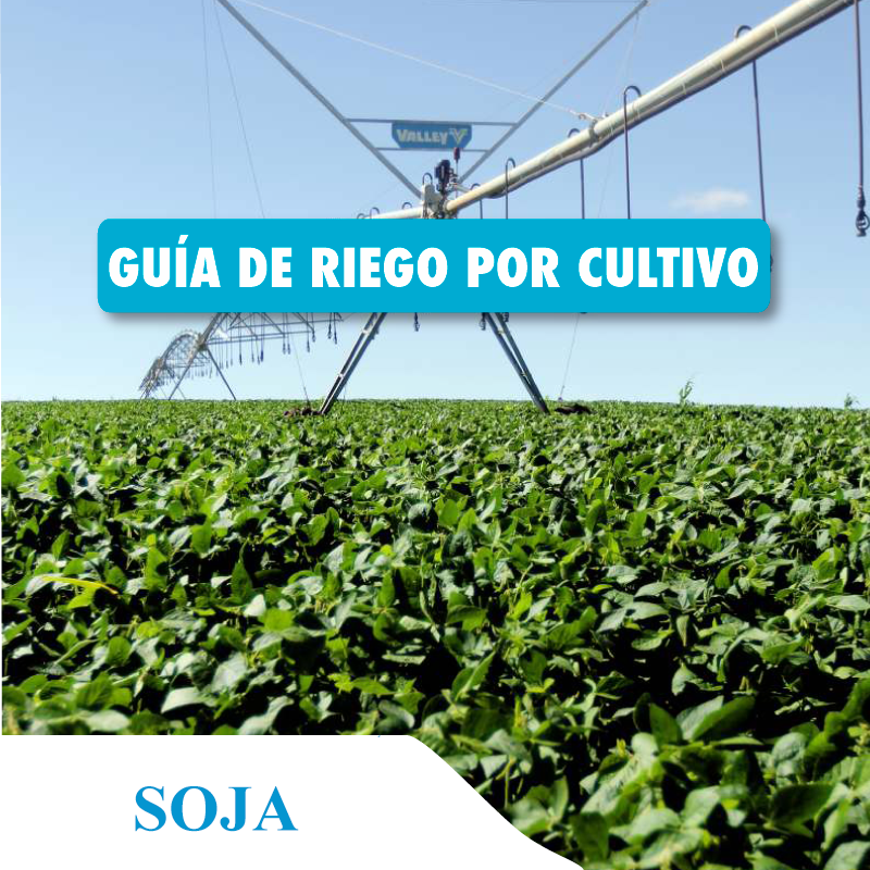 tecnoriego1's tweet photo. Te dejamos la #GuíaDeRiego donde te contamos estrategias de manejo para que tu #soja rinda al máximo.💦🌱
➡Si necesitás asesoramiento o tenés alguna duda #consultanos https://t.co/TTXYMiBE3v