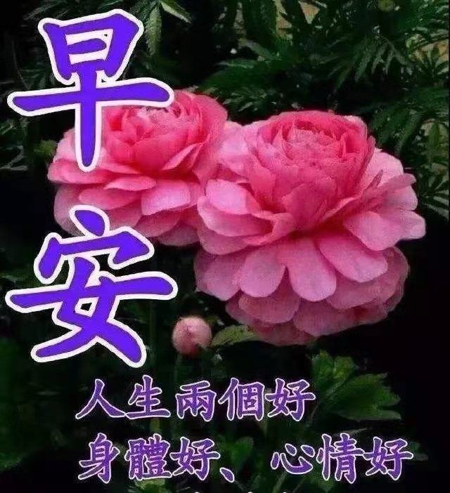 lsl3509's tweet photo. 早上好！ https://t.co/X1OgAxwb51