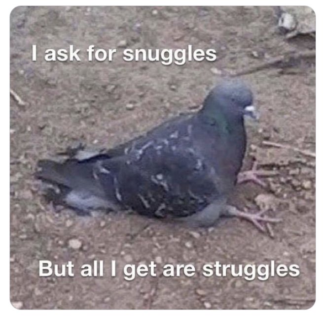 suspiciouslysi1's tweet photo. #dating got me like… https://t.co/YxOw6BoKc9