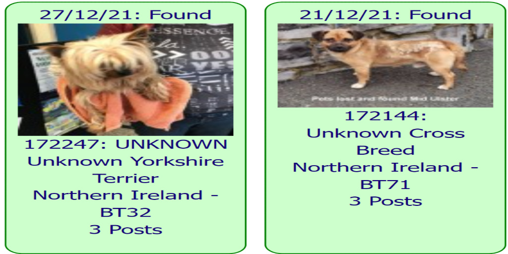 #FOUND #DOGS * NORTHERN IRELAND * December 27th &amp; December 21st 2021

These #FoundDogs are on the <a href="/DogLostUK/">DogLost</a> site as being FOUND in #NorthernIreland

If you see your dog below go to doglost.co.uk &amp; put the ID NUMBER (shown under photo) into search menu for more details