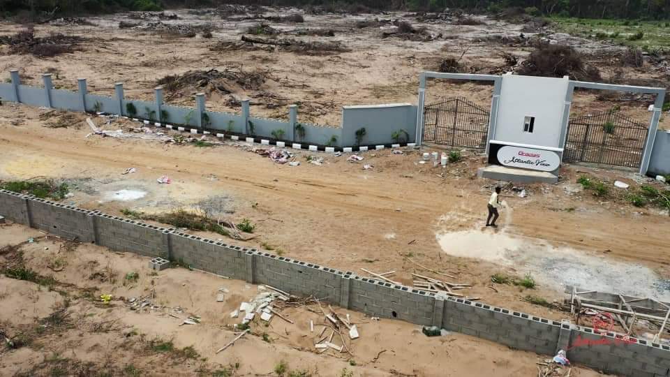 qaasimaa's tweet image. 