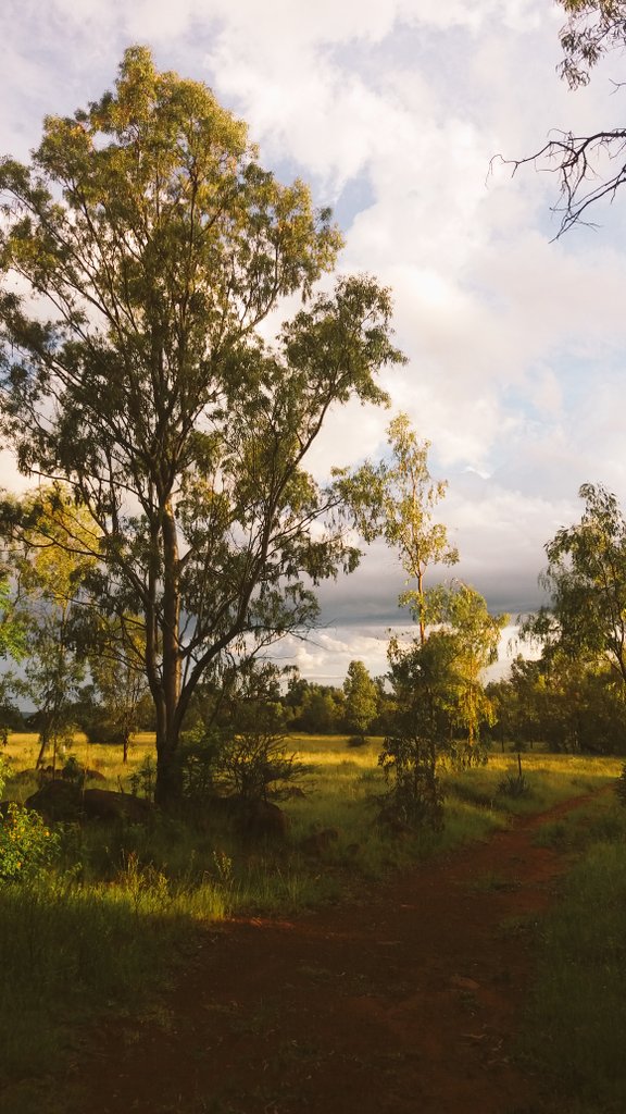 After a few days of rain...