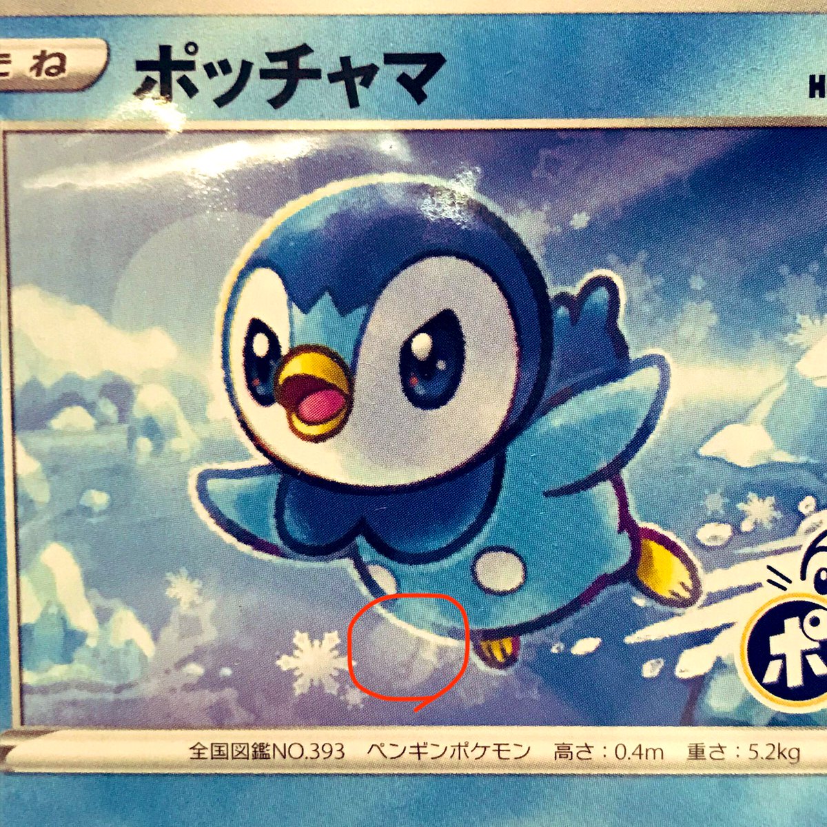 蘭 ポケカ Ran Camera Twitter