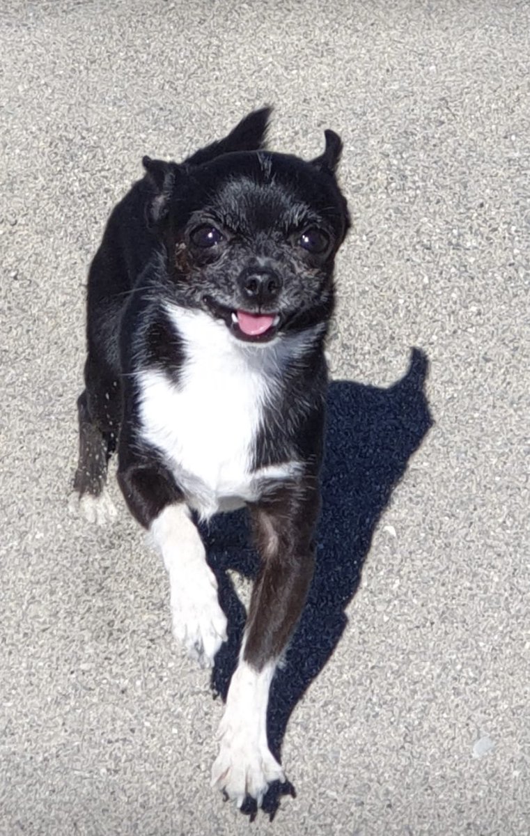 Carmen🦋 tweet media