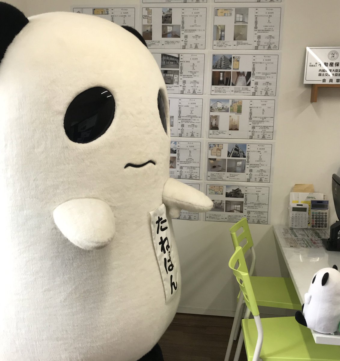 tanepanchan's tweet photo. 今年も残りあと3日☺️🍀
来年こそはいろんなところでみんなに会えたらいいなぁ😊🍀 https://t.co/7UNEAHQY6Z
