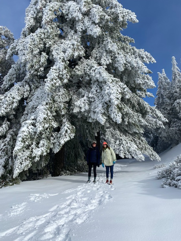 Krista Canellakis tweet media