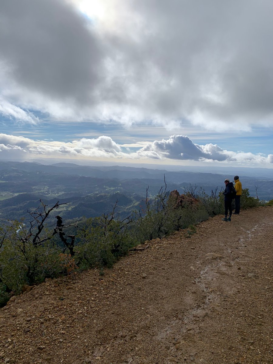 Krista Canellakis tweet media