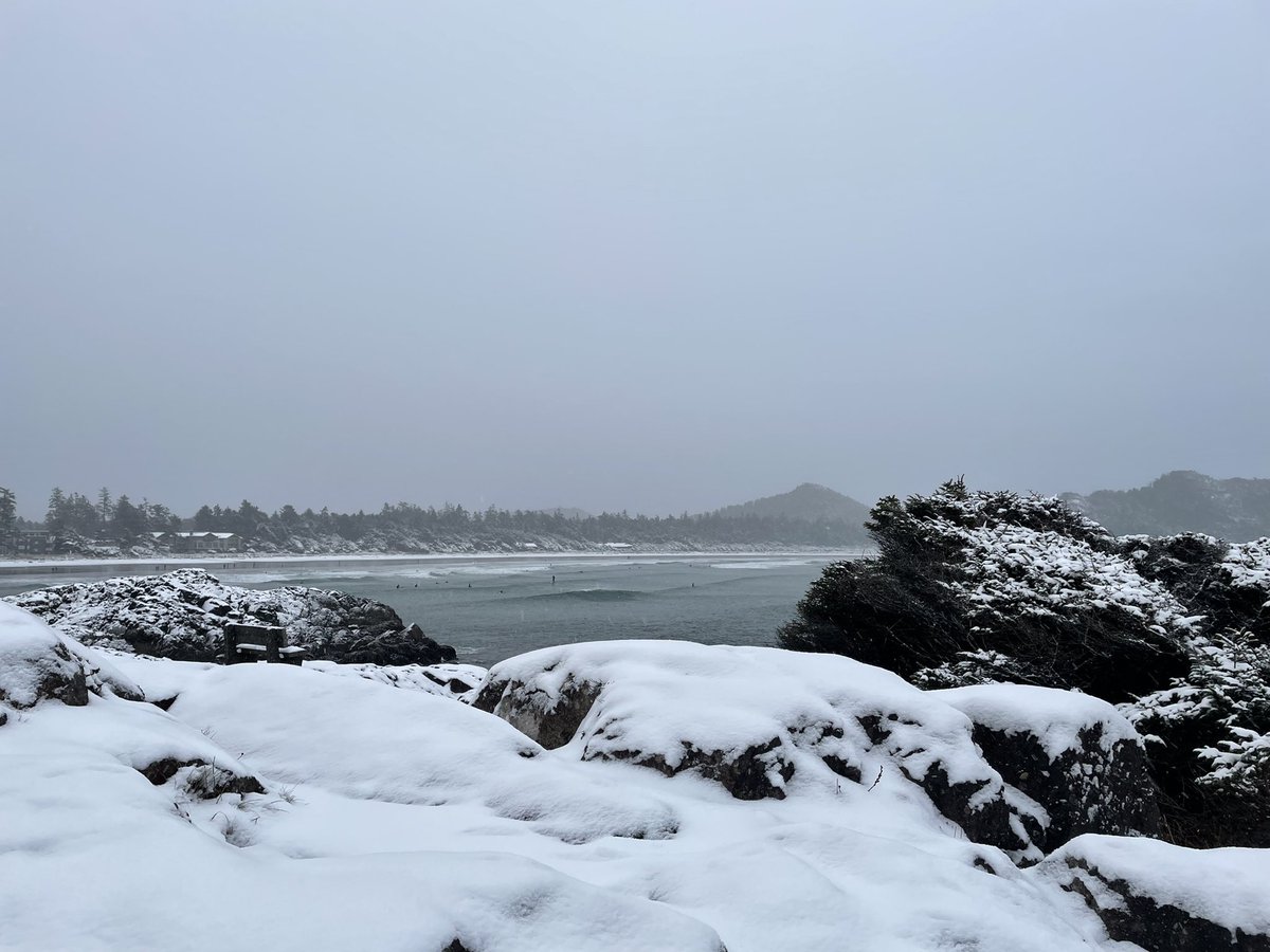 Colleen Castonguay tweet media