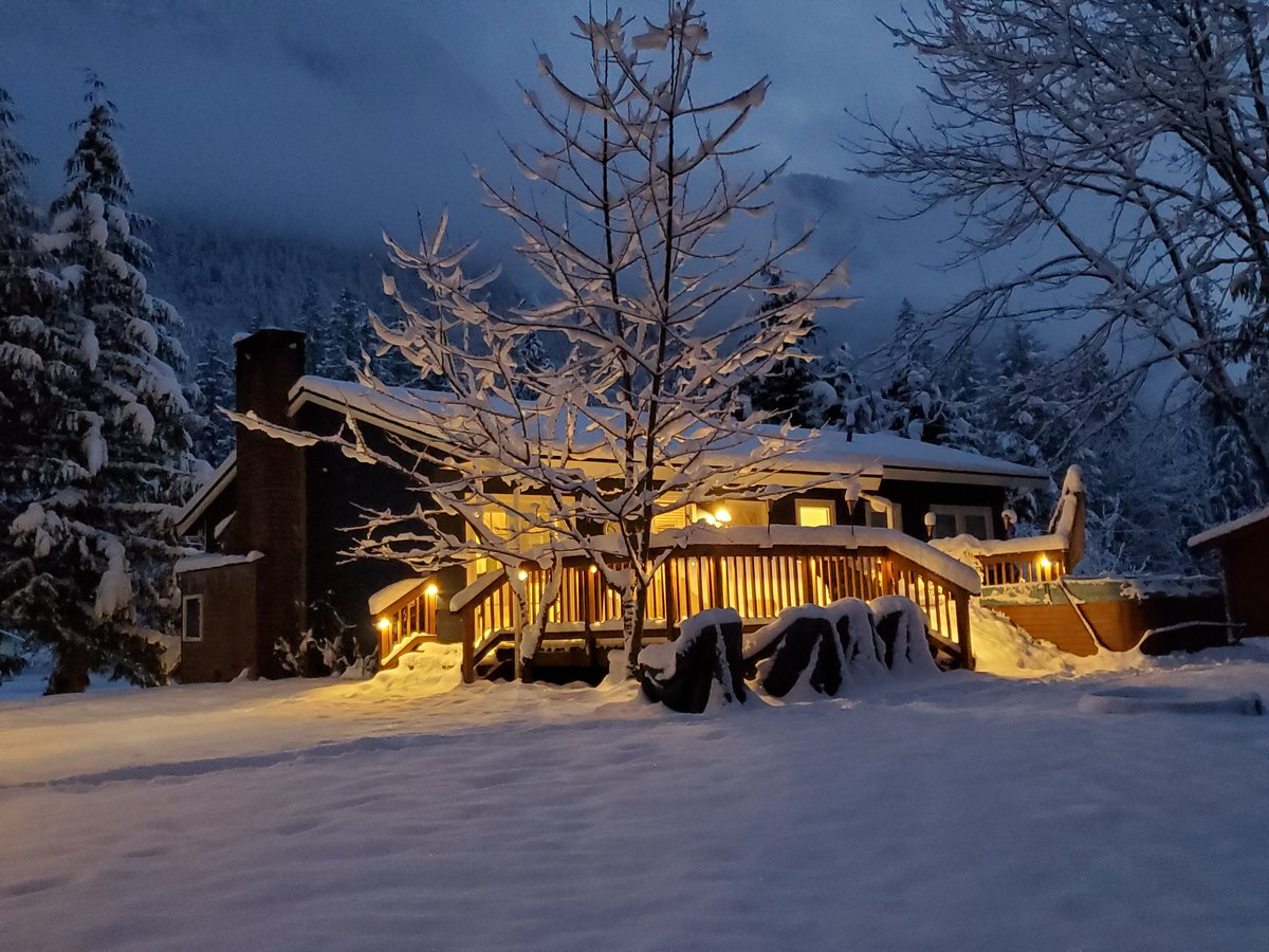 mtuip's tweet image. Last shot for today from the backyard. #seattlesnow