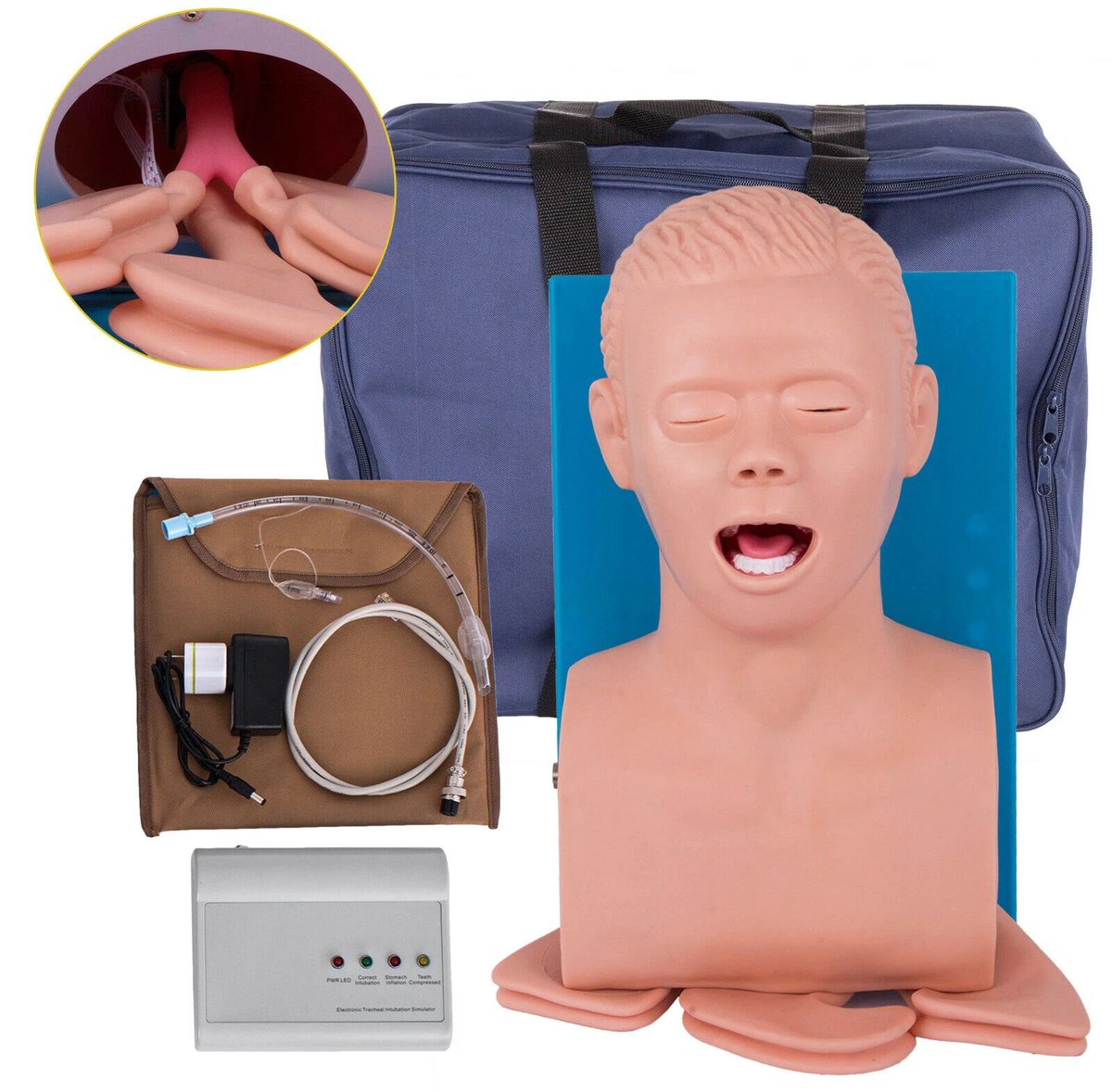 and an intubation practice kit.this one has SMARTS so naturally I'm tempted to make it into a keyboard