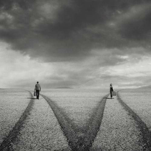 literland tweet media