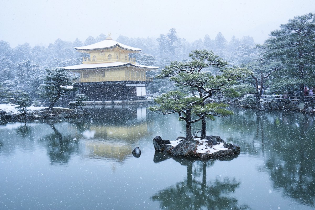 yt_innocent's tweet photo. 雪の金閣寺 ❄️ Kinkaku-ji temple in snow last year
.
前日に積雪したみたいですね⛄時間がとれずに今年は撮れませんでした😆
.
#金閣寺 #Kinkakuji #Kinkakujitemple #雪 #snow #雪景色 #snowscene #京都 #Kyoto #GoldenPavilion https://t.co/DwlSgvKweI