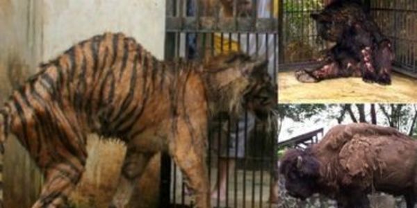 2EZ4CheyBreezy's tweet photo. @IskoMoreno Say No to ZOO

#NoToZoo https://t.co/Dc3RQyVuzx