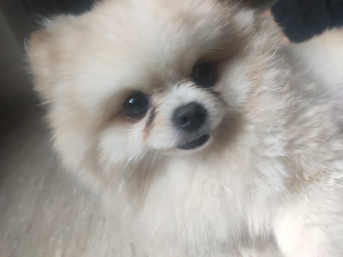 Devasted27's tweet image. Gk tau